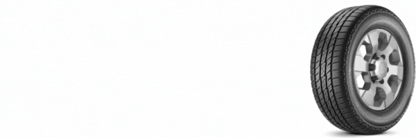 Imagem do pneu 205 55 r17 pneu aro 17